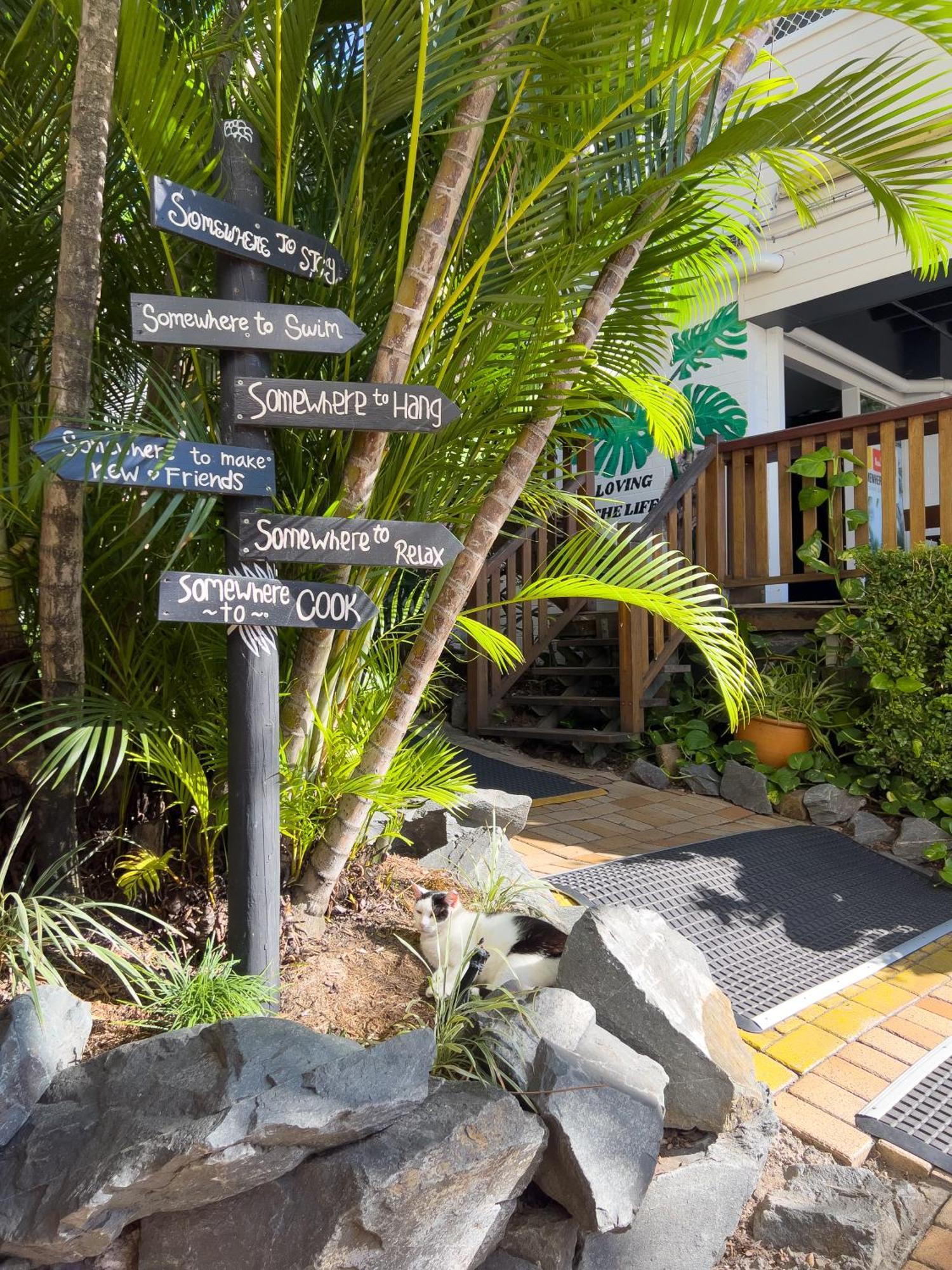 Somewhere To Stay Backpackers Brisbane Extérieur photo